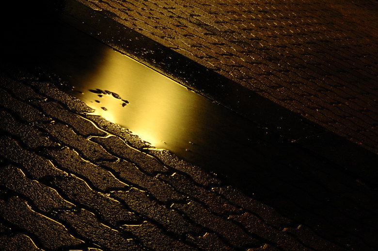 2007-05-06 golden rain / goldregen