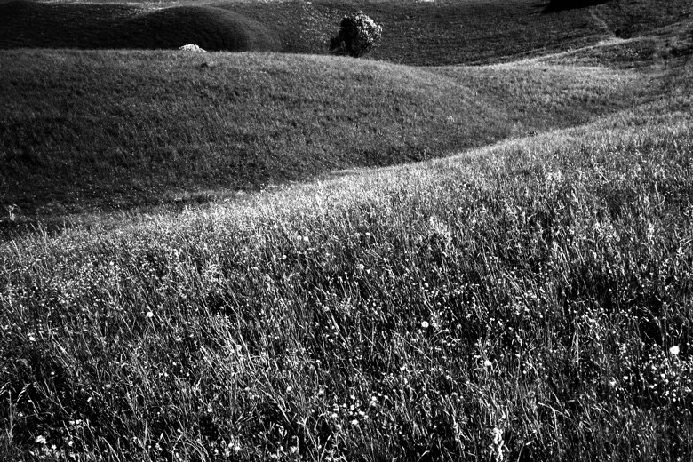 2007-05-20 landscape shapes / landschaftsformen