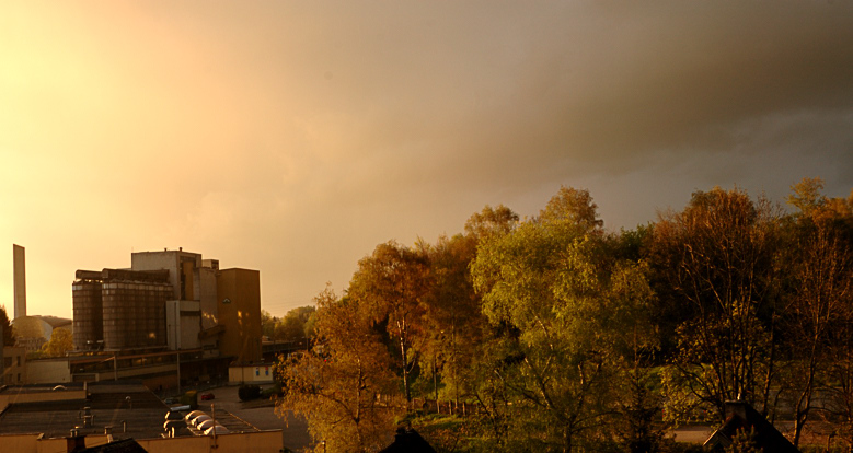 2008-04-26 after the rain / nach dem regen